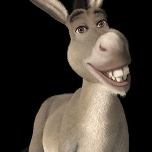 Meet your Posher, Meng